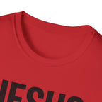 Jesus Paid the Price T-Shirt
