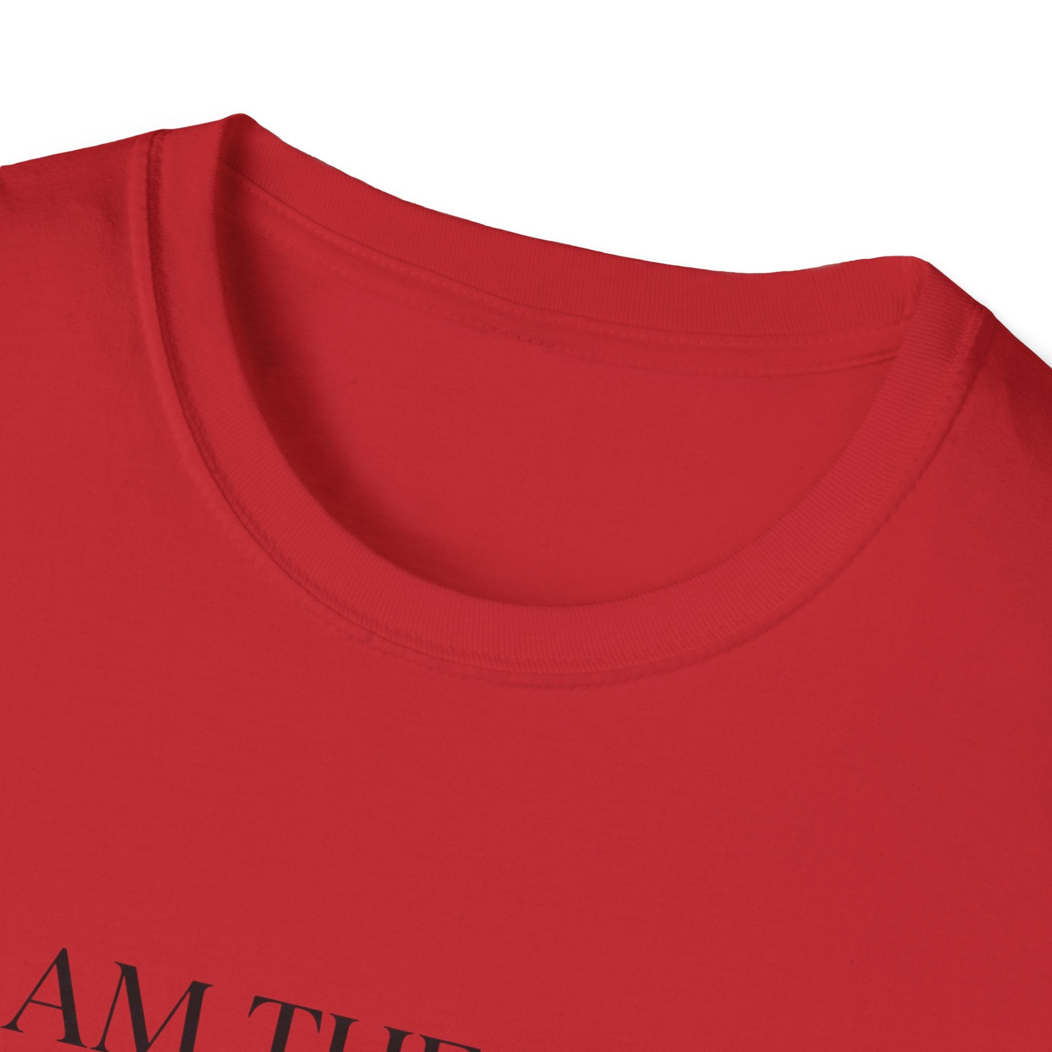I Am the Way T-Shirt